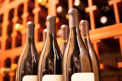 payroll services for retail businesses